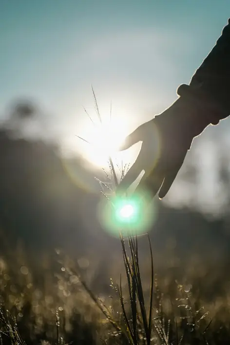 Hand im Licht