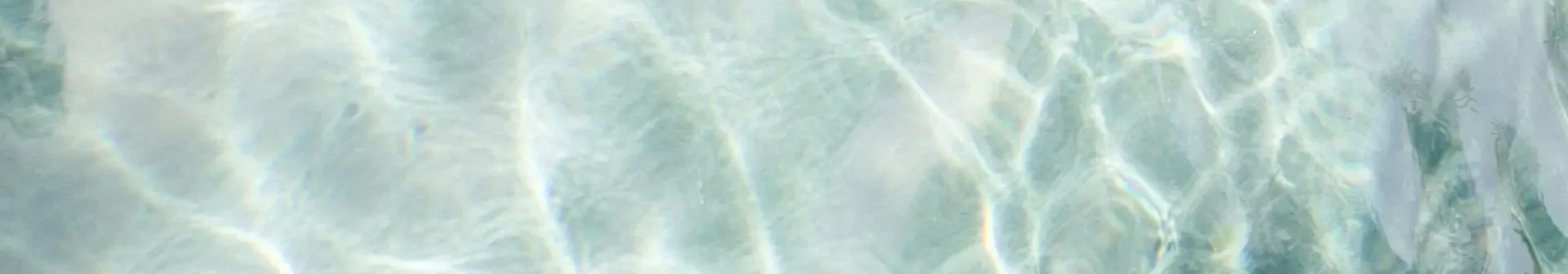 sea